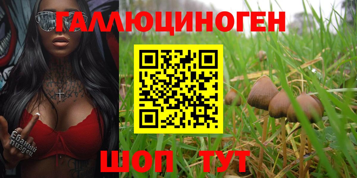 Псилоцибиновые грибы Cubensis  Вход с VPN  Северск  Галлюциногенные грибы Cubensis 